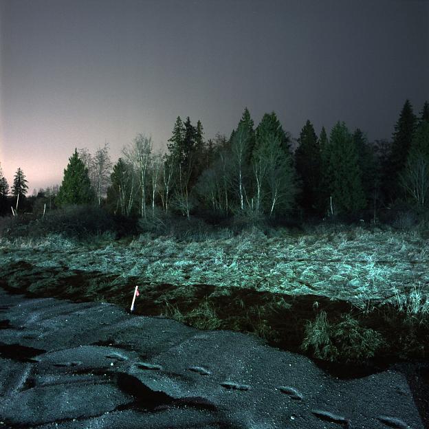 Crepuscule, 2003-2006